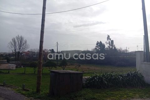 Helårsgrund i Estarreja, Aveiro, Estarreja - € 150.000 | Ref: PP02022026 - foto 9