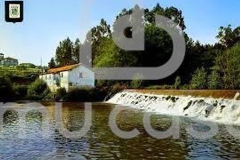 Helårsgrund i Estarreja, Aveiro, Estarreja - € 150.000 | Ref: PP02022026 - foto 12