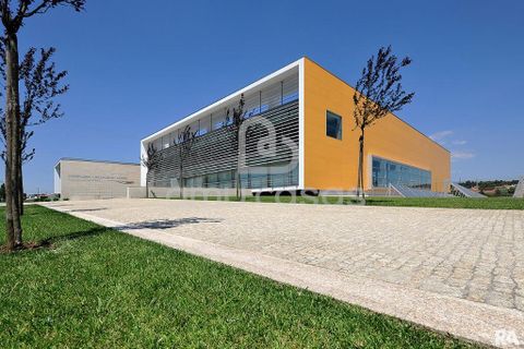 Helårsgrund i Estarreja, Aveiro, Estarreja - € 150.000 | Ref: PP02022026 - foto 14