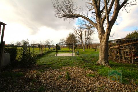 Villa a Palmanova, Udine, Palmanova - € 280.000 | Ref: 3CNT280LN4 - foto 18