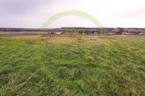Terra a Saint-Maigrin, Charente-Maritime, Saint-Maigrin - € 27.000 | Ref: 3011442902 - foto 2
