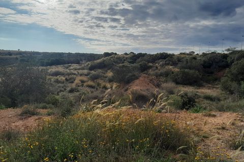 Villa i Gran Alacant, Alicante, Gran Alacant - € 579.000 | Ref: CLDZL-44251 - foto 6