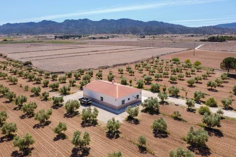 Landejendom i Yecla, Murcia, Yecla - € 220.000 | Ref: CF2993 - foto 2