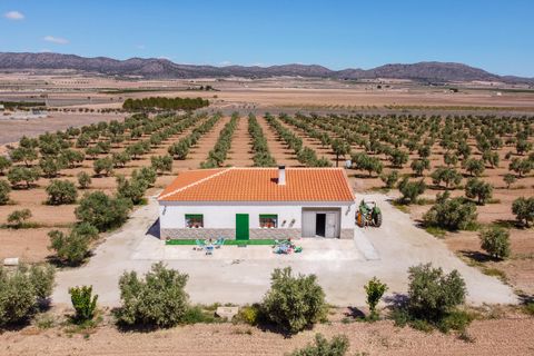 Landejendom i Yecla, Murcia, Yecla - € 220.000 | Ref: CF2993 - foto 4