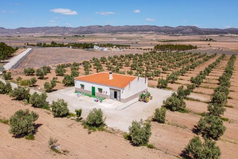 Landejendom i Yecla, Murcia, Yecla - € 220.000 | Ref: CF2993 - foto 6