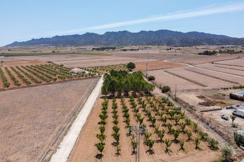 Landejendom i Yecla, Murcia, Yecla - € 220.000 | Ref: CF2993 - foto 7