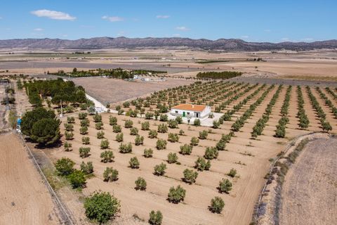 Landejendom i Yecla, Murcia, Yecla - € 220.000 | Ref: CF2993 - foto 8