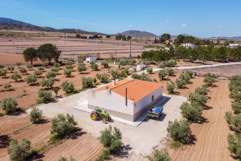 Landejendom i Yecla, Murcia, Yecla - € 220.000 | Ref: CF2993 - foto 33