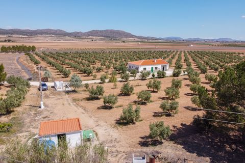 Landejendom i Yecla, Murcia, Yecla - € 220.000 | Ref: CF2993 - foto 34