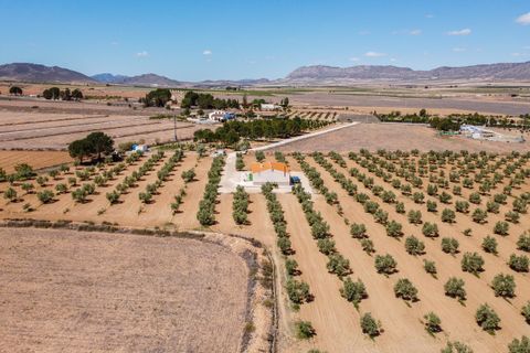 Landejendom i Yecla, Murcia, Yecla - € 220.000 | Ref: CF2993 - foto 35