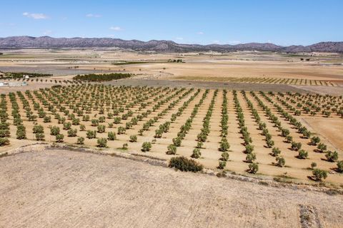 Landejendom i Yecla, Murcia, Yecla - € 220.000 | Ref: CF2993 - foto 36