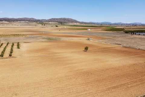 Landejendom i Yecla, Murcia, Yecla - € 220.000 | Ref: CF2993 - foto 37