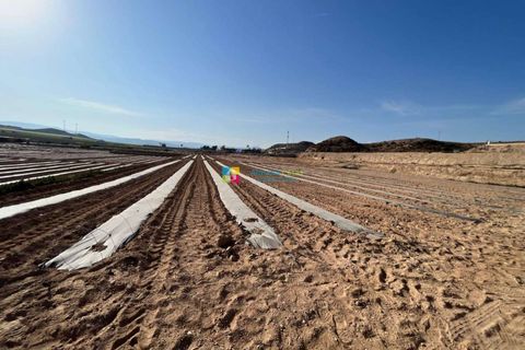 Landejendom i Antas, Almeria, Antas - € 430.000 | Ref: 43508 - foto 6