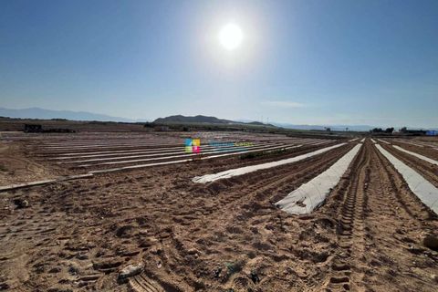 Landejendom i Antas, Almeria, Antas - € 430.000 | Ref: 43508 - foto 7