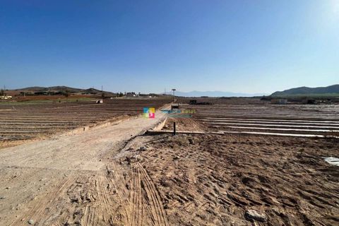 Landejendom i Antas, Almeria, Antas - € 430.000 | Ref: 43508 - foto 8