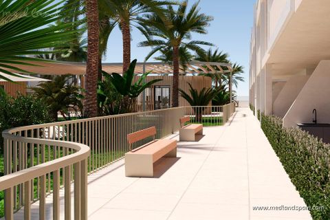 Lejlighed i Torre Pacheco, Murcia, Torre Pacheco - € 263.900 | Ref: N-7318002 - foto 12