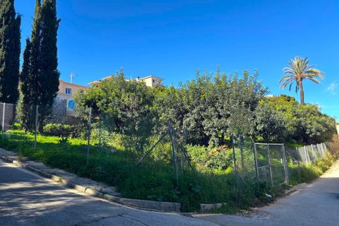 Terra a Denia, Alicante - foto 1