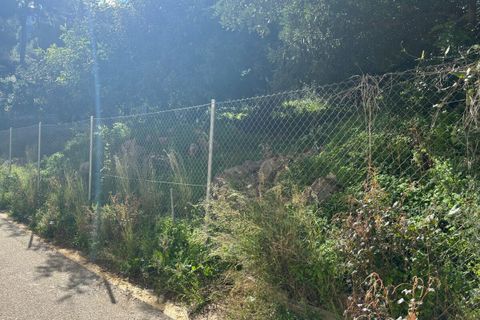 Terra a Denia, Alicante - foto 3
