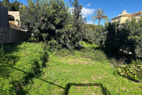 Terra a Denia, Alicante, Denia - € 178.000 | Ref: 5-17-15914 - foto 6