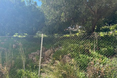 Terra a Denia, Alicante, Denia - € 178.000 | Ref: 5-17-15914 - foto 7