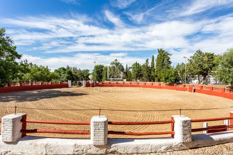 Villa i Valdeolmos, Madrid, Valdeolmos - € 6.290.000 | Ref: MAD66666 - foto 3