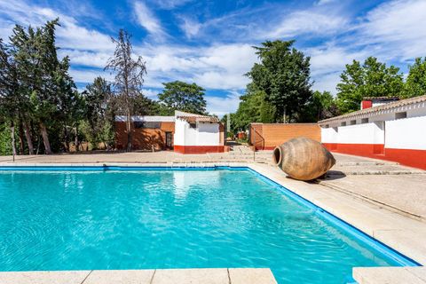 Villa i Valdeolmos, Madrid, Valdeolmos - € 6.290.000 | Ref: MAD66666 - foto 4