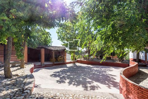 Villa i Valdeolmos, Madrid, Valdeolmos - € 6.290.000 | Ref: MAD66666 - foto 9