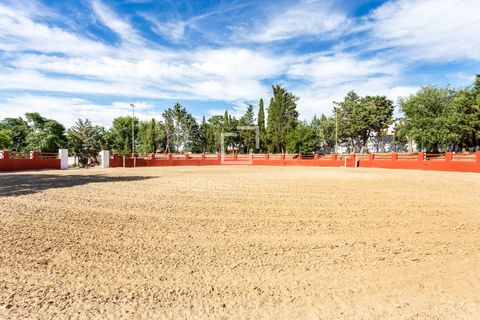 Villa i Valdeolmos, Madrid, Valdeolmos - € 6.290.000 | Ref: MAD66666 - foto 31