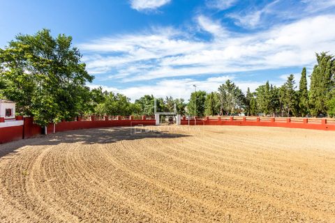 Villa i Valdeolmos, Madrid, Valdeolmos - € 6.290.000 | Ref: MAD66666 - foto 32