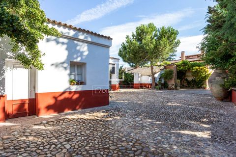Villa i Valdeolmos, Madrid, Valdeolmos - € 6.290.000 | Ref: MAD66666 - foto 39