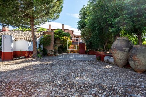 Villa i Valdeolmos, Madrid, Valdeolmos - € 6.290.000 | Ref: MAD66666 - foto 40