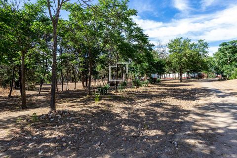 Villa i Valdeolmos, Madrid, Valdeolmos - € 6.290.000 | Ref: MAD66666 - foto 43