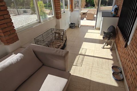 Landejendom i Sax, Alicante, Sax - € 260.000 | Ref: Cabreras Villa - foto 41