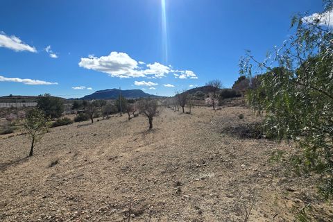 Landejendom i Sax, Alicante, Sax - € 260.000 | Ref: Cabreras Villa - foto 35