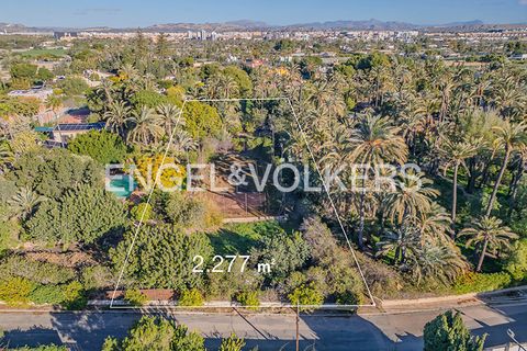 Villa i Elche, Alicante, Elche - € 1.200.000 | Ref: W-048J20 - foto 23
