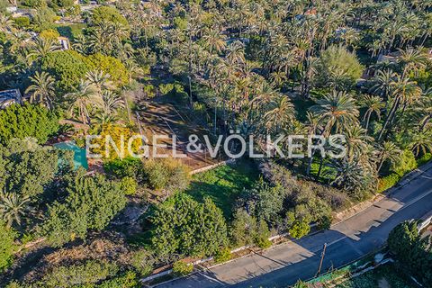Villa i Elche, Alicante, Elche - € 1.200.000 | Ref: W-048J20 - foto 26