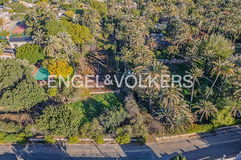 Villa i Elche, Alicante, Elche - € 1.200.000 | Ref: W-048J20 - foto 27
