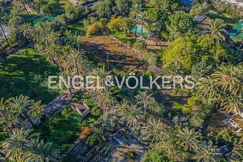 Villa i Elche, Alicante, Elche - € 1.200.000 | Ref: W-048J20 - foto 28