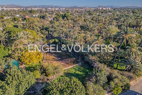Villa i Elche, Alicante, Elche - € 1.200.000 | Ref: W-048J20 - foto 24