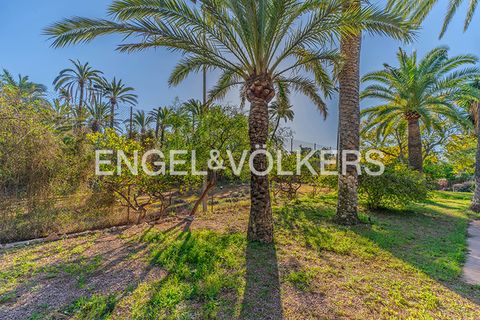 Villa i Elche, Alicante, Elche - € 1.200.000 | Ref: W-048J20 - foto 30