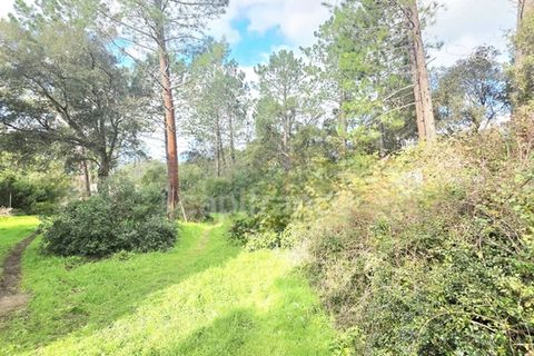 Herregård i Lecci, Corse-du-Sud, Lecci - € 301 000 | Ref: 340937215212 - foto 2