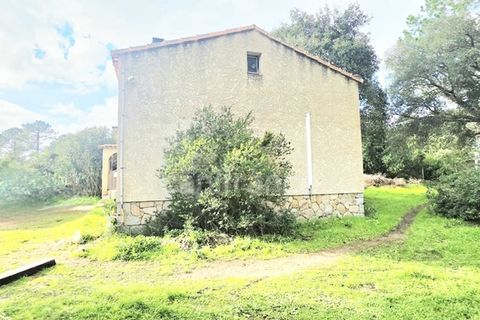 Herregård i Lecci, Corse-du-Sud, Lecci - € 301 000 | Ref: 340937215212 - foto 13