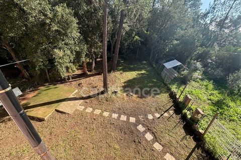 Villa i Lecci, Corse-du-Sud, Lecci - € 1.582.500 | Ref: 340933965894 - foto 2