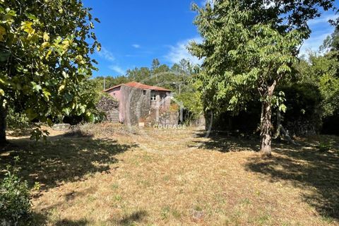 Villa a Paredes de Coura, Viana do Castelo, Paredes de Coura - € 70.000 | Ref: CD0007 - foto 3