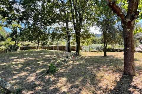 Villa a Paredes de Coura, Viana do Castelo, Paredes de Coura - € 70.000 | Ref: CD0007 - foto 4