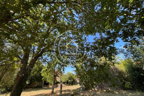 Villa a Paredes de Coura, Viana do Castelo, Paredes de Coura - € 70.000 | Ref: CD0007 - foto 15