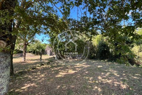 Villa a Paredes de Coura, Viana do Castelo, Paredes de Coura - € 70.000 | Ref: CD0007 - foto 18