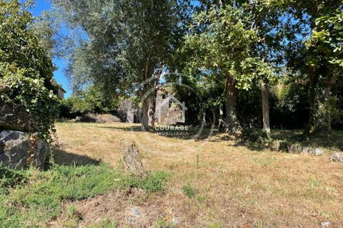 Villa a Paredes de Coura, Viana do Castelo, Paredes de Coura - € 70.000 | Ref: CD0007 - foto 22