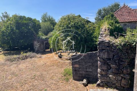 Villa a Paredes de Coura, Viana do Castelo, Paredes de Coura - € 70.000 | Ref: CD0007 - foto 29