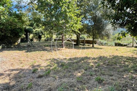 Villa a Paredes de Coura, Viana do Castelo, Paredes de Coura - € 70.000 | Ref: CD0007 - foto 38